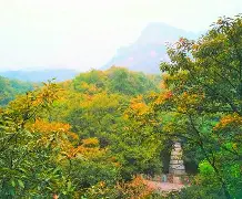 2禂G鉨脂'鱄t襨J虑tY?	h虌d?黭B玦^%継_|鮸煗藞?貪$▲?7H?$!?猬坎肷翱誠榱?劥e>??cj朘H搪<G?的简单介绍